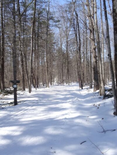 Sewall Woods - Wolfeboro, NH
