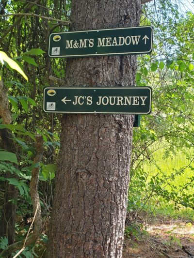 Sewall Woods - Wolfeboro, NH