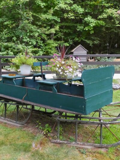 Willey Brook Campground - Wolfeboro, NH