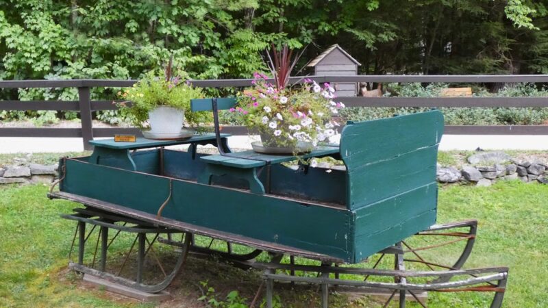 Willey Brook Campground - Wolfeboro, NH