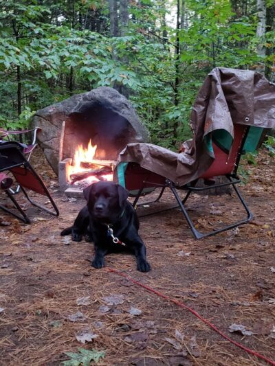 Wolfeboro Campground - Wolfeboro, NH