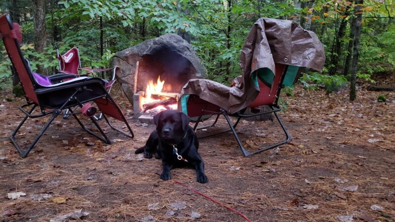 Wolfeboro Campground - Wolfeboro, NH