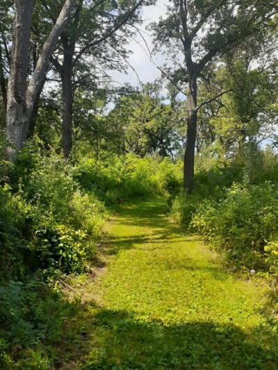 Harrison Benwell Conservation Area - Wonder Lake, IL