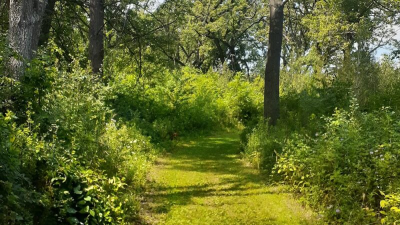 Harrison Benwell Conservation Area - Wonder Lake, IL