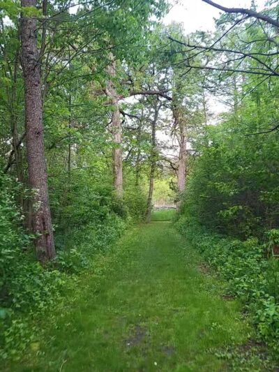 Harrison Benwell Conservation Area - Wonder Lake, IL