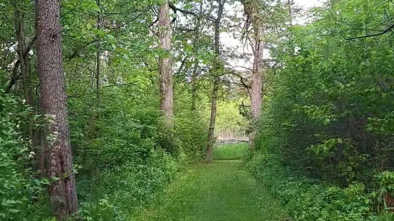 Harrison Benwell Conservation Area - Wonder Lake, IL
