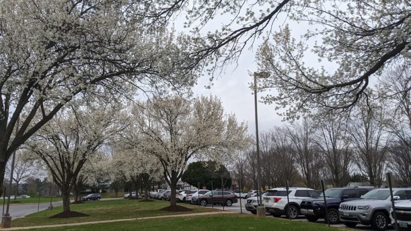 Lisbon Park - Woodbine, MD
