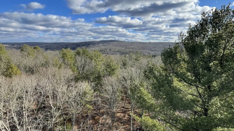 Orenaug Park - Woodbury, CT