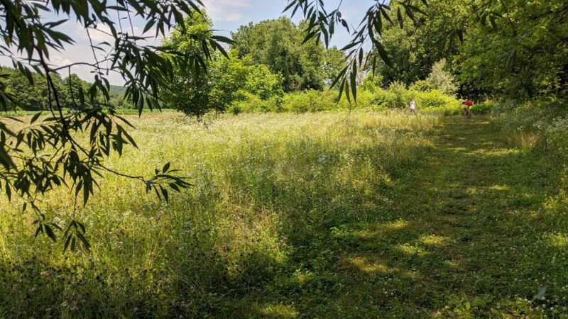 Strong Preserve - Woodbury, CT