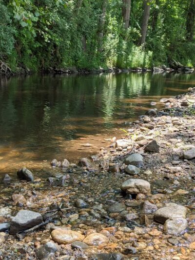 Strong Preserve - Woodbury, CT