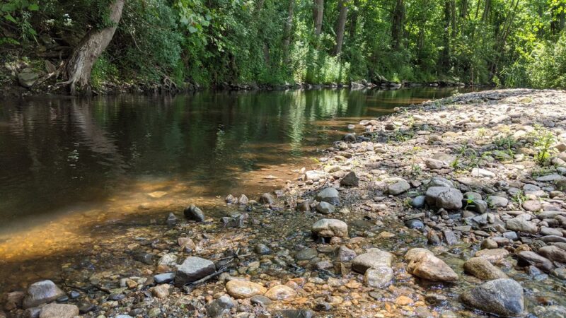 Strong Preserve - Woodbury, CT