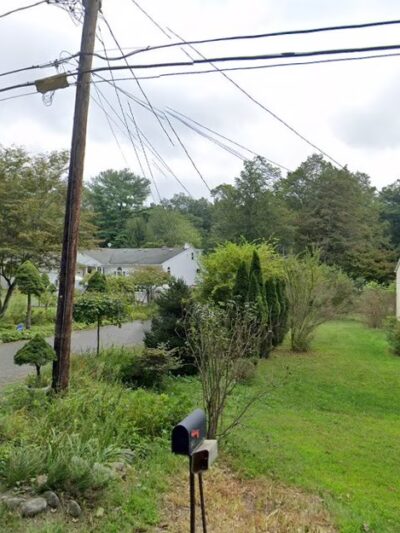 The Haute Dog Hotel - Woodbury, CT