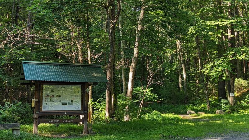 Whittemore Sanctuary - Woodbury, CT