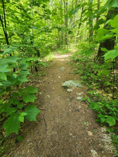 Whittemore Sanctuary - Woodbury, CT