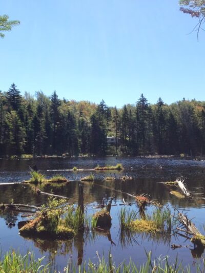Woodford State Park - Woodford, VT