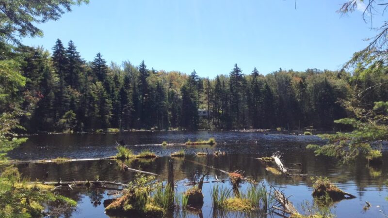Woodford State Park - Woodford, VT