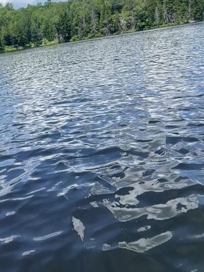 Woodford State Park - Woodford, VT