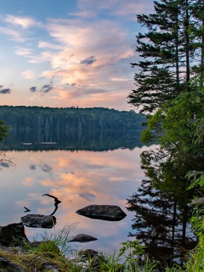 Woodford State Park - Woodford, VT