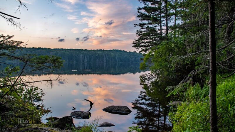 Woodford State Park - Woodford, VT