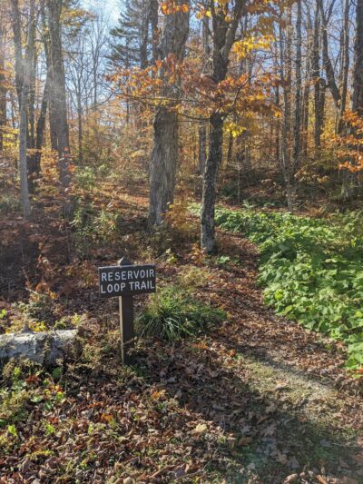 Woodford State Park - Woodford, VT