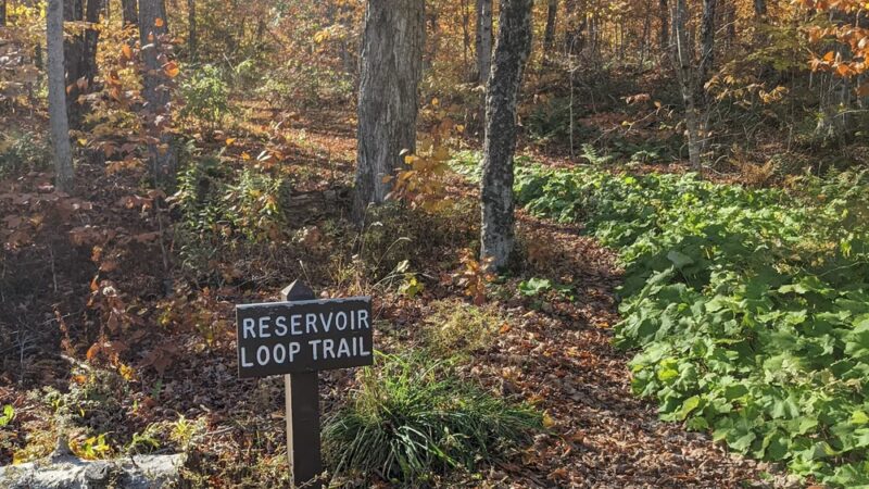 Woodford State Park - Woodford, VT