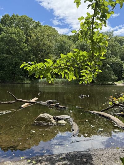 Strack Memorial Park - Woodhaven, NY