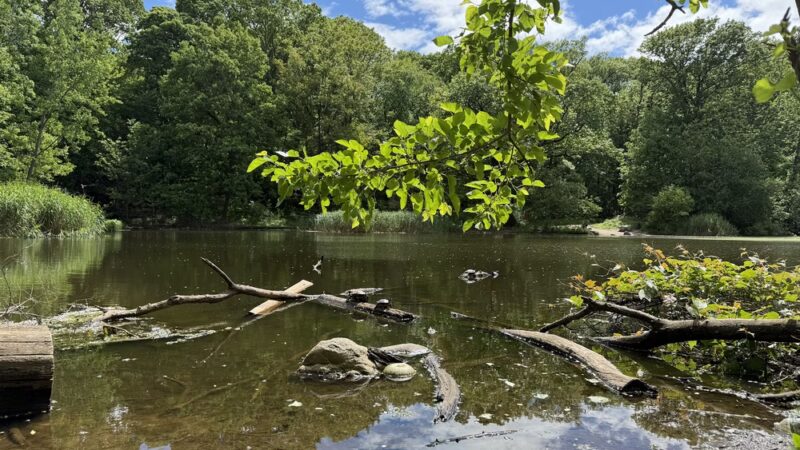 Strack Memorial Park - Woodhaven, NY