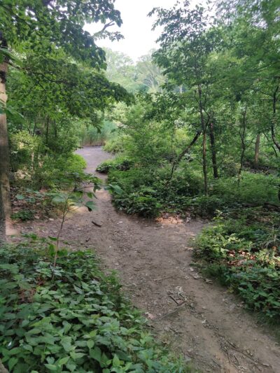 Strack Memorial Park - Woodhaven, NY