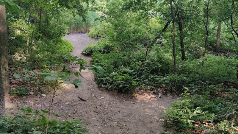 Strack Memorial Park - Woodhaven, NY
