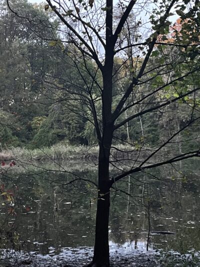 Strack Memorial Park - Woodhaven, NY