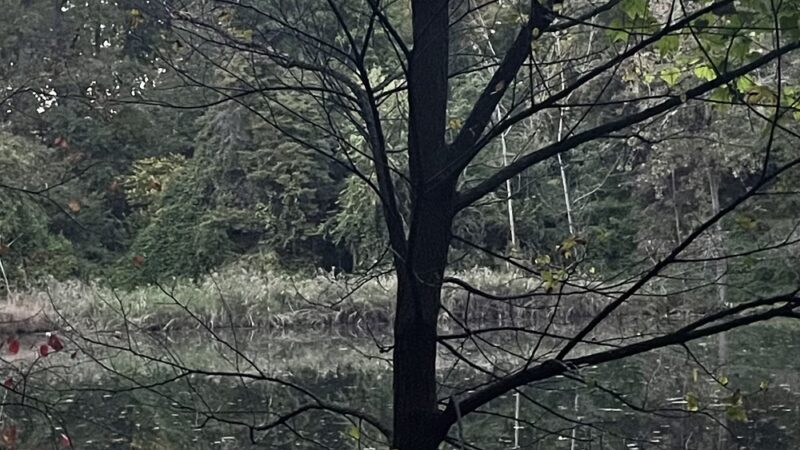 Strack Memorial Park - Woodhaven, NY