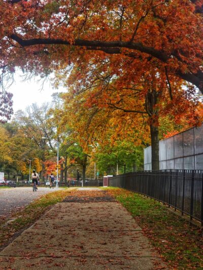 Victory Field - Woodhaven, NY