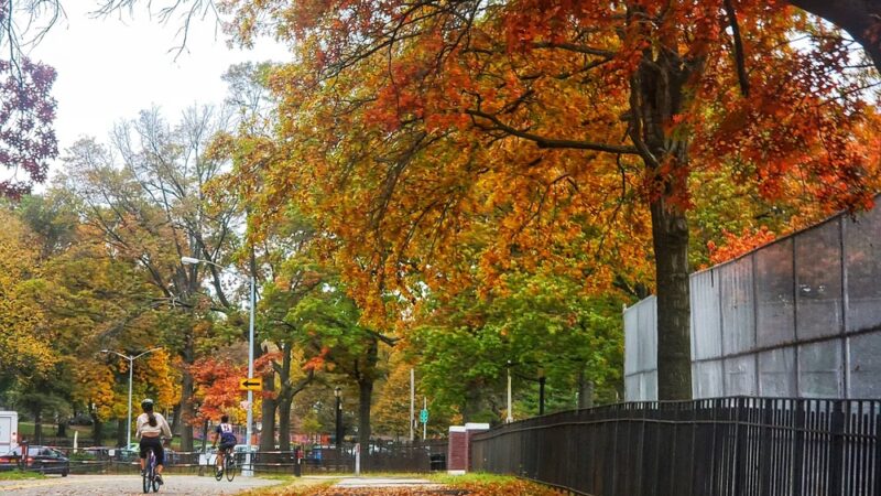 Victory Field - Woodhaven, NY