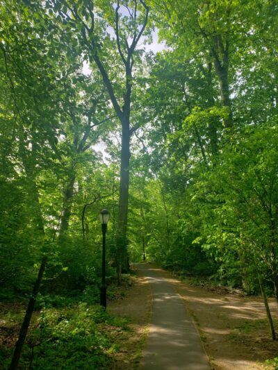 Victory Field - Woodhaven, NY