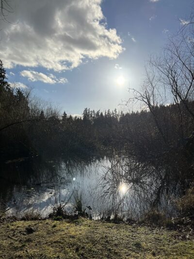 Woodin Glen Park - Woodinville, WA