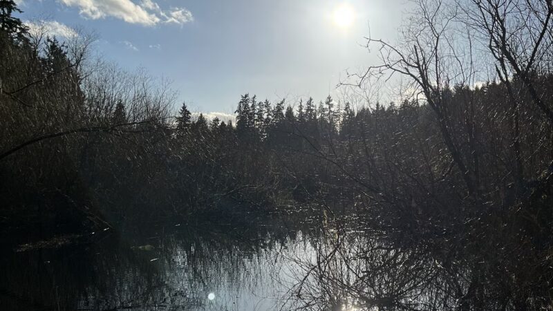 Woodin Glen Park - Woodinville, WA