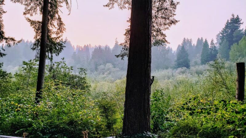 Woodin Glen Park - Woodinville, WA