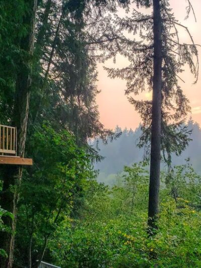 Woodin Glen Park - Woodinville, WA