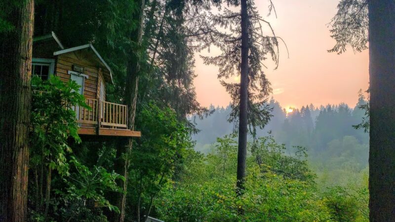 Woodin Glen Park - Woodinville, WA