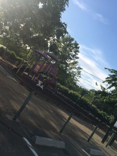 Dunnigan Community Park - Woodland, CA