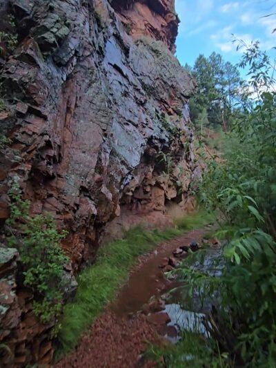 Troutman Creek Mule Creek Trail - Woodland Park, CO