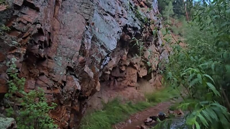 Troutman Creek Mule Creek Trail - Woodland Park, CO