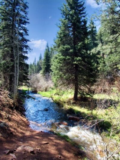 Troutman Creek Mule Creek Trail - Woodland Park, CO