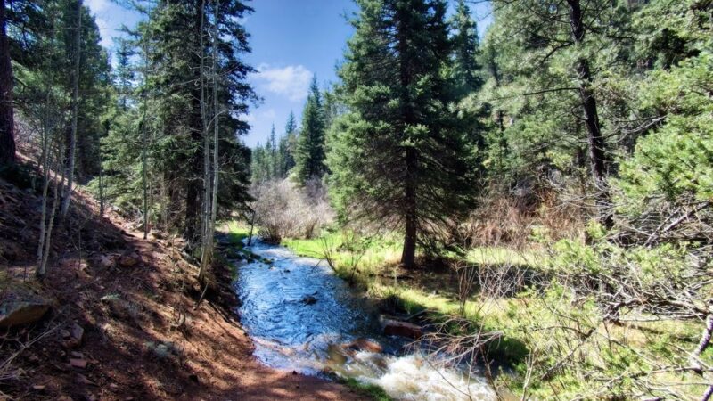 Troutman Creek Mule Creek Trail - Woodland Park, CO