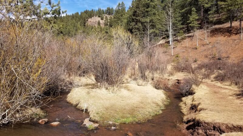 Troutman Creek Mule Creek Trail - Woodland Park, CO