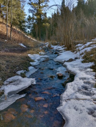 Troutman Creek Mule Creek Trail - Woodland Park, CO