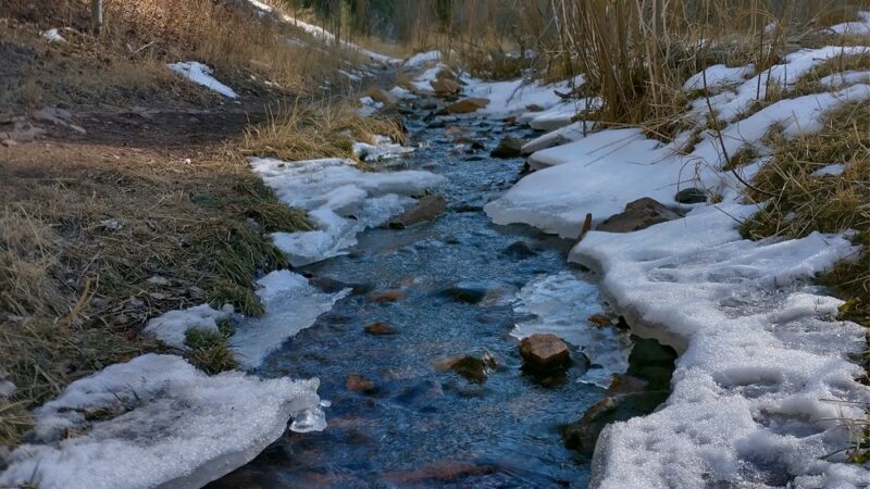 Troutman Creek Mule Creek Trail - Woodland Park, CO