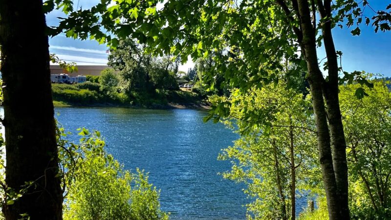 Goerig Park - Woodland, WA