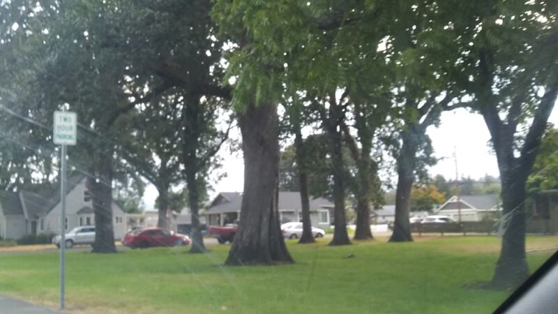 Hoffmann Park - Woodland, WA