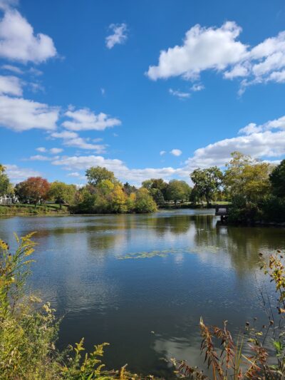 Lake Harriet Park - Woodridge, IL
